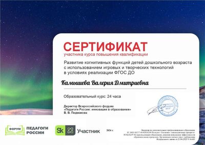 Камышева Валерия Дмитриевна_E3o.pdf.jpeg