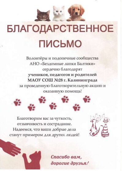 Благодарственное письмо Бездомные лапки Балтики.jpg
