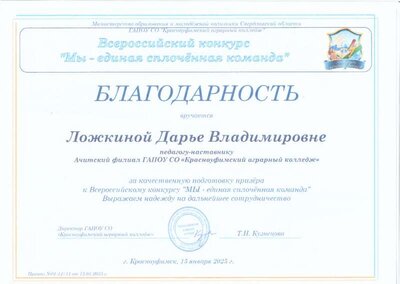 Благодарность Мы команда.pdf.jpeg