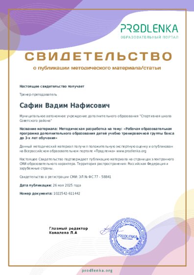 Методическая разработка на тему: «Рабочая образовательная программа дополнительного образования детей учебно тренировочной группы бокса до 3-х лет обучения»