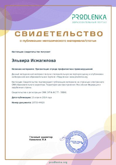 Презентация отряда профилактики правонарушений
