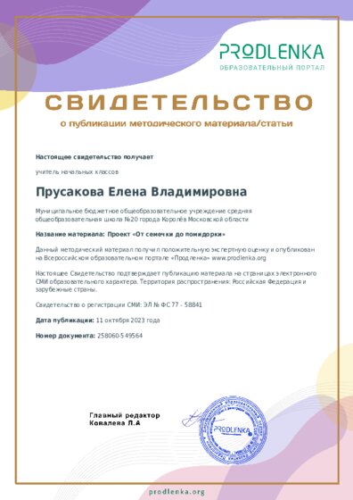 Проект «От семечки до помидорки»
