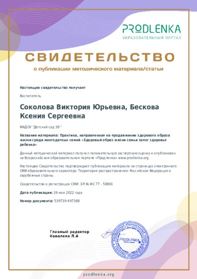 Практика, направленная на продвижение здорового образа жизни среди многодетных семей «Здоровый образ жизни семьи залог здоровья ребенка»