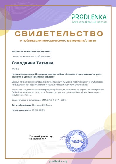 Исследовательская работа «Влияние мульчирования на рост, развитие и урожай земляники садовой»