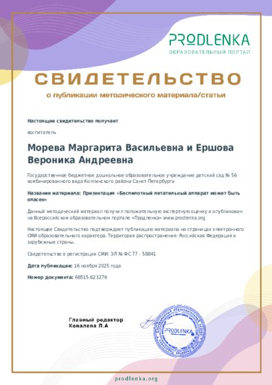 Презентация «Беспилотный летательный аппарат может быть опасен»