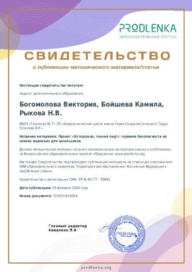 Проект «Осторожно, тонкий лед!»: правила безопасности на зимних водоемах для школьников