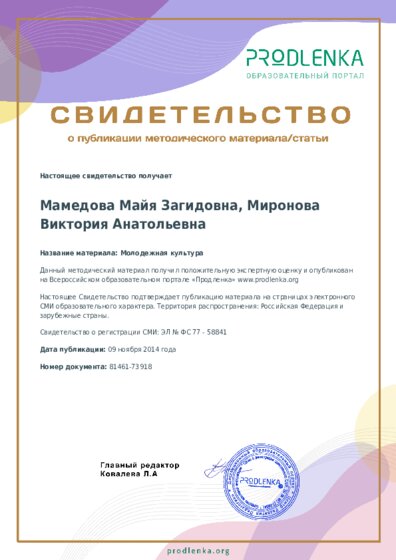 Молодежная культура