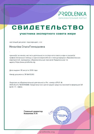 Свидетельство участника экспертного совета жюри
