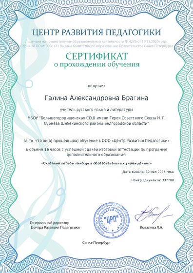 Сертификат о прохождении обучения курсов ДО