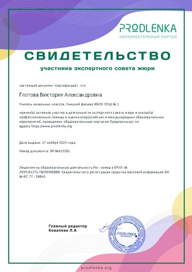 Свидетельство участника экспертного совета жюри