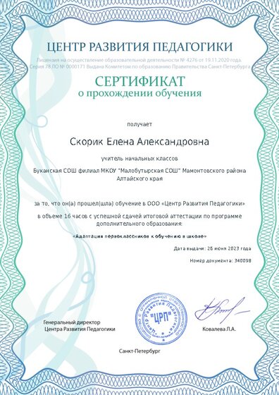 Сертификат о прохождении обучения курсов ДО