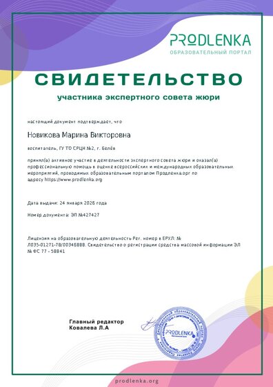 Свидетельство участника экспертного совета жюри