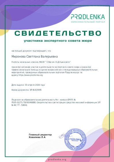 Свидетельство участника экспертного совета жюри