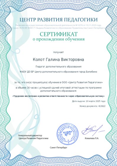 Сертификат о прохождении обучения курсов ДО
