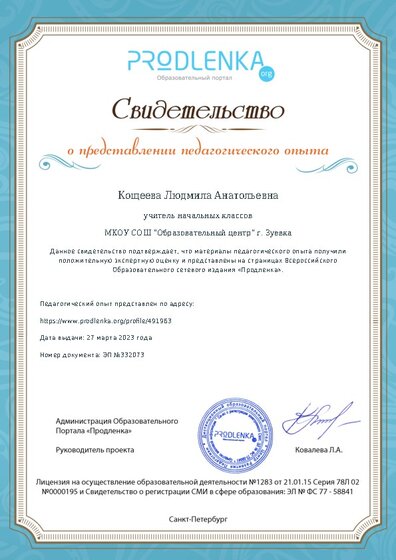 Свидетельство о представлении педагогического опыта (с положительной оценкой экспертной комиссии)