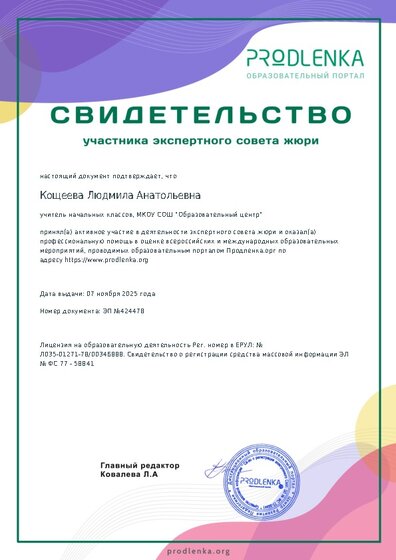 Свидетельство участника экспертного совета жюри