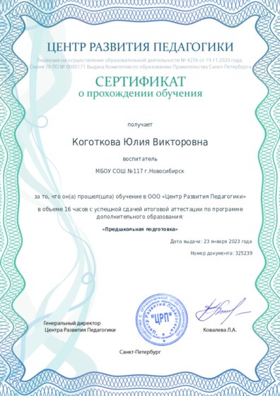 Сертификат о прохождении обучения курсов ДО