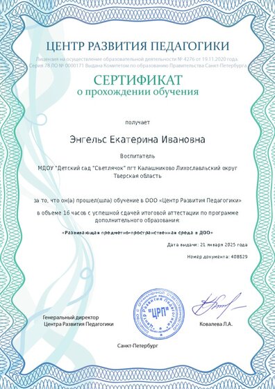 Сертификат о прохождении обучения курсов ДО