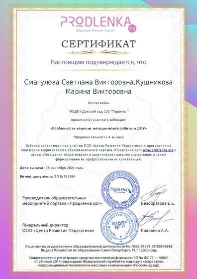 Сертификат участника Вебинара