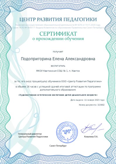 Сертификат о прохождении обучения курсов ДО