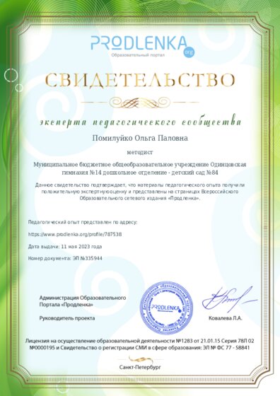 Свидетельство о представлении педагогического опыта (с положительной оценкой экспертной комиссии)