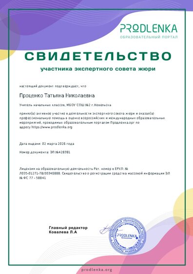 Свидетельство участника экспертного совета жюри