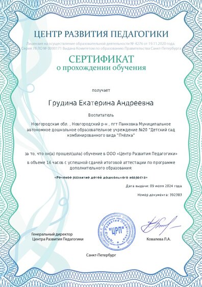 Сертификат о прохождении обучения курсов ДО
