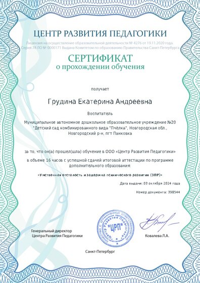 Сертификат о прохождении обучения курсов ДО