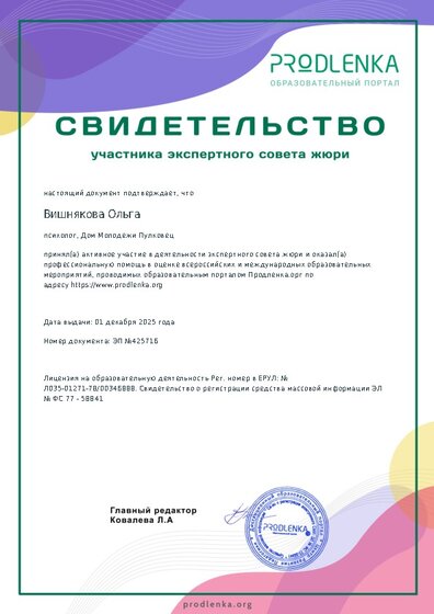Свидетельство участника экспертного совета жюри