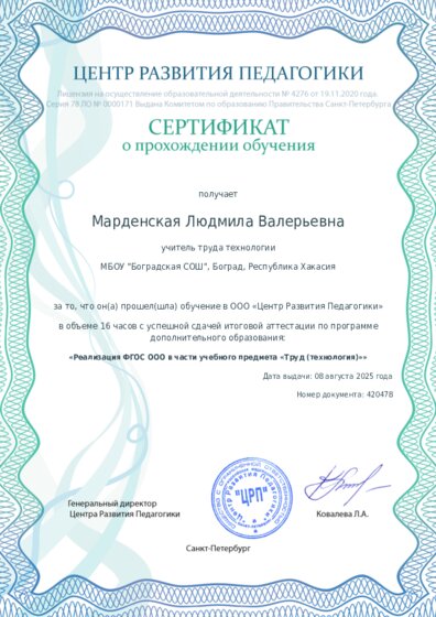 Сертификат о прохождении обучения курсов ДО