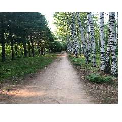 Черных Ирина Евгеньевна