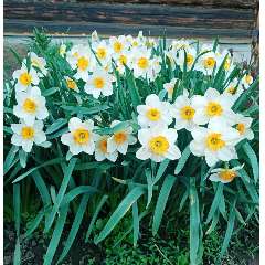 Суханова Татьяна Михайловна