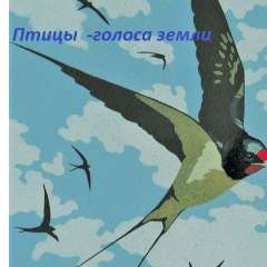 Крылова Елена Анатольевна