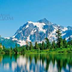 Абдурахманова Патимат Джаладиновна