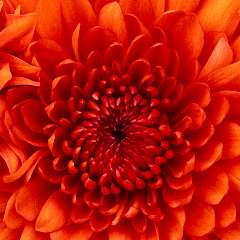 Насонова Наталья Вячеславовна