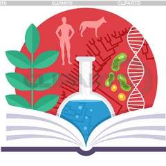 Кипкеева Аминат Рашидовна