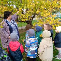 Свистула Таисия Николаевна