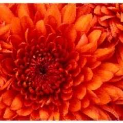 Фаткуллина Рита Айратовна