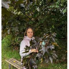 Журавель Наталья Петровна