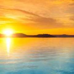 ИВАНКЕВИЧ ОЛЬГА ЮРЬЕВНА