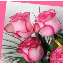 Рашевская Ирина Николаевна