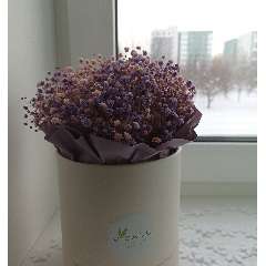 Силинская Светлана Владимировна