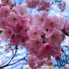 Киселева Жанна Юрьевна