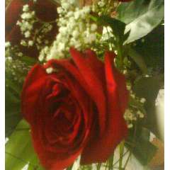 ФЁДОРОВА ОЛЬГА ЛЕОНИДОВНА