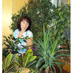 Курбанова Татьяна Николаевна