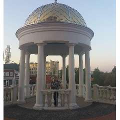 Дубровина Елена Александровна