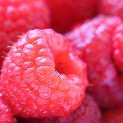 Сапунова Анна Александровна