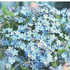 Кузнецова Любовь Александровна