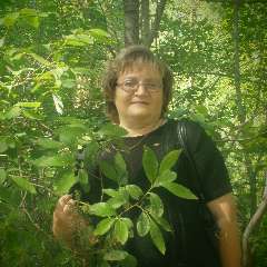  Егорова Светлана Юрьевна