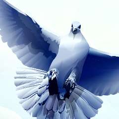 Холкина Наталья Александровна